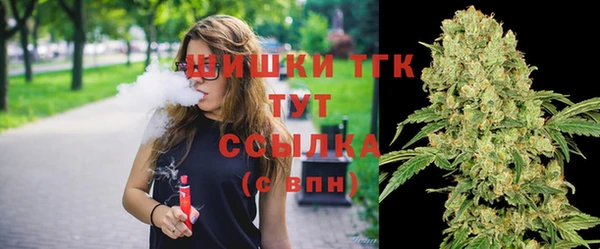 эйфоретик Надым
